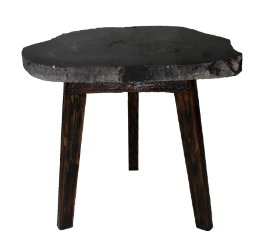 23x18 Black Petrified Wood Marble End Table